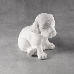 Sitting Puppy