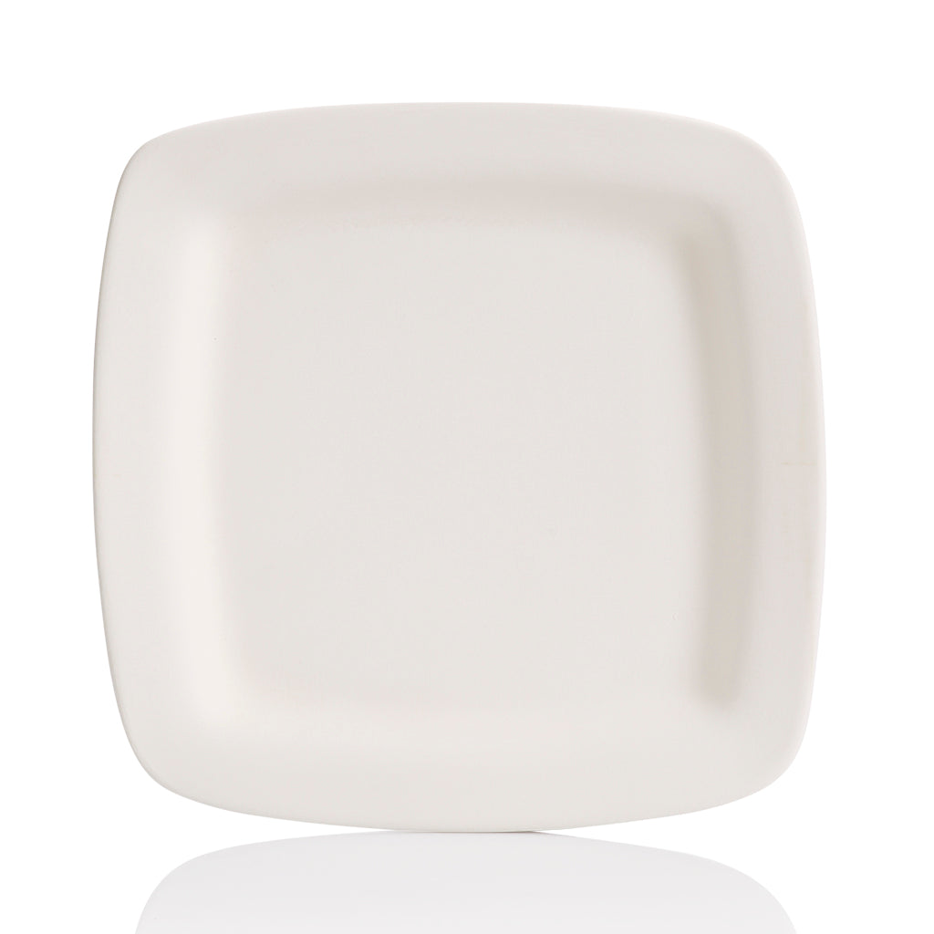 Square Rimmed Dinner Plate