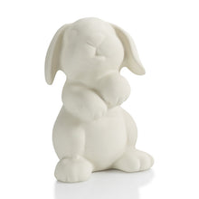 Load image into Gallery viewer, Party Rabbit
